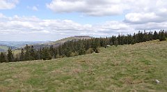 283_TZ60_P1110090_cr