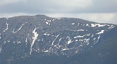 291_TZ60_P1110098_cr