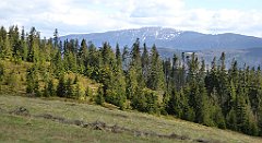 293_TZ60_P1110101_cr