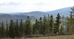 296_TZ60_P1110107_cr