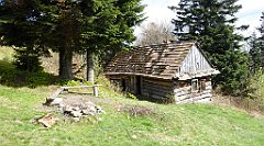 320_TZ60_P1110133_cr