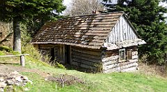 321_TZ60_P1110134_cr