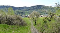 327_TZ60_P1110140_cr