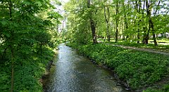 043_TZ60_P1110217_cr