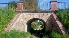 063_A806_IMG_20160511_091911_cr