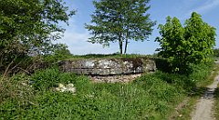 066_TZ60_P1110238_cr