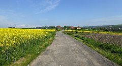 092_TZ60_P1110265_cr