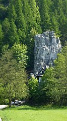 124_TZ60_P1110297_cr