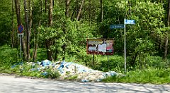 133_TZ60_P1110306_cr