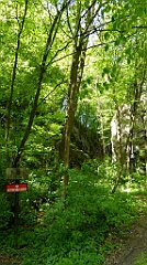 154_TZ60_P1110320_cr