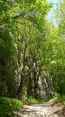 156_TZ60_P1110321_cr