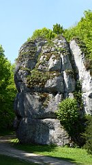 221_TZ60_P1110333_cr