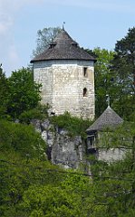 249_TZ60_P1110337_cr