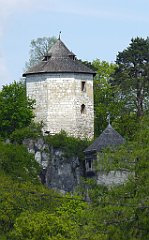 250_TZ60_P1110338_cr