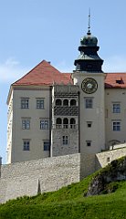 369_TZ60_P1110357_cr