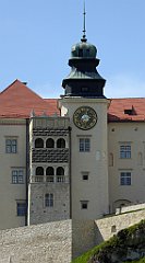 370_TZ60_P1110358_cr