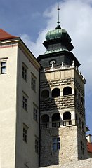 393_TZ60_P1110367_cr