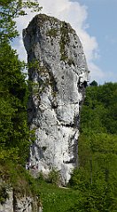 395_TZ60_P1110368_cr