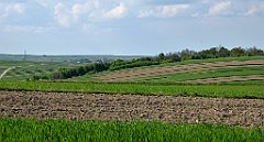 436_TZ60_P1110377_cr