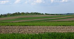 437_TZ60_P1110378_cr