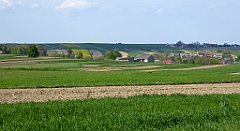 441_TZ60_P1110382_cr