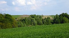 454_TZ60_P1110395_cr