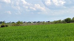 457_TZ60_P1110398_cr