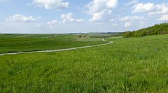 467_TZ60_P1110408_cr