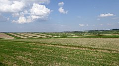 472_TZ60_P1110413_cr