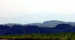 479_TZ60_P1110420_cr