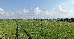 491_TZ60_P1110430_cr