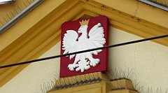 070_TZ60_P1110507_cr