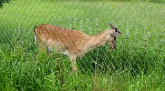 0002_TZ60_P1110532_cr