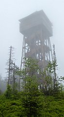 0219_TZ60_P1110587_cr