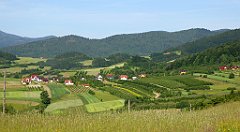 0122_TZ60_P1110702_cr