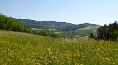 0128_TZ60_P1110709_cr