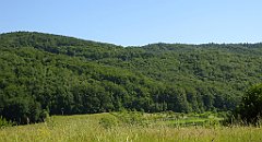 0144_TZ60_P1110718_cr