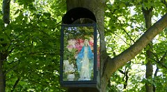 0224a_3D_P1080525_cr