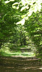 0225_TZ60_P1110794_cr