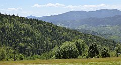 0252_TZ60_P1110811_cr