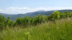 0336_TZ60_P1110848_cr