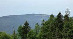 020_TZ60_P1110874_cr