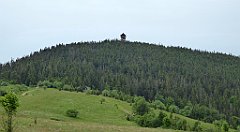 047_TZ60_P1110903_cr