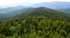 096_TZ60_P1110965_cr