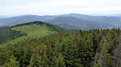 101_TZ60_P1110969_cr