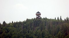 121_TZ60_P1110980_cr