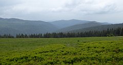 134_TZ60_P1110989_cr