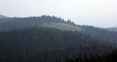 137_TZ60_P1110992_cr