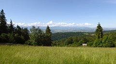 0090a_TZ60_P1120044_cr