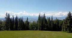 0128_A806_IMG_20160619_094121_cr